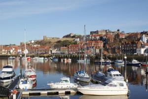 a bunch of boats are docked in a harbor at Bell Island Cottage in Whitby