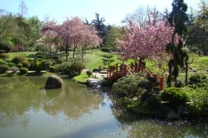 um jardim com um lago com uma ponte e árvores floridas em Appartement Université-Capitole em Toulouse