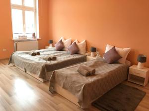 two beds in a room with two bedsitures at Renovated apartment in Opole in Opole