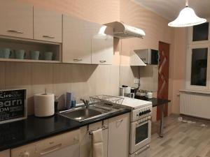Η κουζίνα ή μικρή κουζίνα στο Renovated apartment in Opole