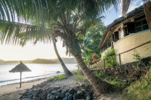 山林小屋周边自然景观