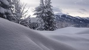 Appartmenthaus Hochkönig v zime