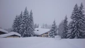 Appartmenthaus Hochkönig v zime