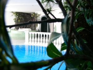 Πισίνα στο ή κοντά στο Hotel Kranebitt