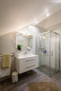 a bathroom with a glass shower and a sink at Elysian Apartments in Grabovac