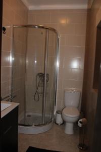 uma casa de banho com um chuveiro, um WC e um lavatrio. em Quinta Cho do Nabal em Belmonte mais 12 fotografias