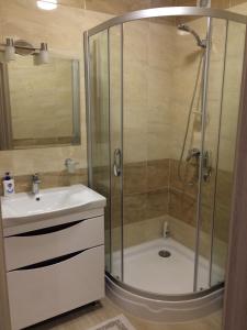 a bathroom with a shower and a sink at Квартира-Студия в Центре in Vinnytsya +7 photos
