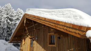 Wildererhütte Chalet Helmut v zimě