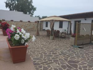 Patio alebo iná vonkajšia časť ubytovania CASA BICE - Cin P4163