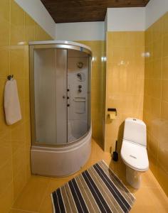 Hotel Complex Akademia في تومسك: حمام صغير مع دش ومرحاض
