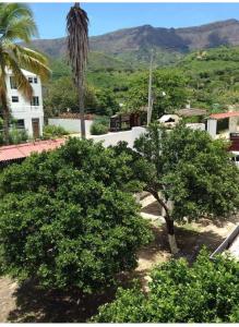 a group of trees in front of a building at Club campestre el Peñón de Apulo in Apulo