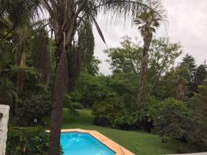 una piscina en un jardín con palmeras en Forest House B&B en Harding