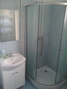 a bathroom with a shower and a sink at Varipatti House in Slatina