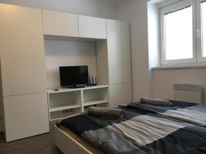 1 Schlafzimmer mit 2 Betten, einem TV und einem Fenster in der Unterkunft Apartmány Jakub - Lipno nad Vltavou in Lipno nad Vltavou