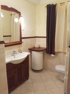 a bathroom with a sink and a toilet and a mirror at Apartma Lenka Kranjska Gora in Kranjska Gora