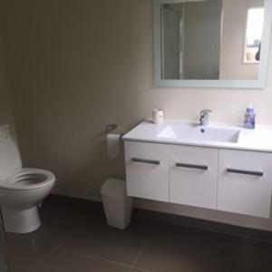 a bathroom with a toilet and a sink and a mirror at Hahei Sea Vista (2) in Hahei