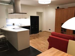 Virtuve vai virtuves zona naktsmītnē Apartment EINS - Blick ins Grüne