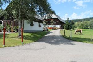 ein Pferd, das auf einem Feld neben einem Haus weidet in der Unterkunft Ferienwohnung Schwarzwaldhof in Titisee-Neustadt