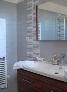 uma casa de banho com um lavatório e um espelho em chambres "gard'échoise" em Barjac