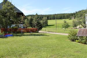 a yard with a fence and a field of grass at Ferienwohnung Schwarzwaldhof in Titisee-Neustadt