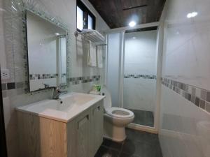 a bathroom with a toilet and a sink and a shower at Two Fish Homestay in Lanyu