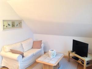 a living room with a couch and a tv at Haus am Karpfenteich in Hahnenklee-Bockswiese