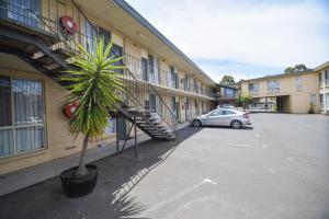 a palm tree in a pot next to a building at Dandenong Motel in Dandenong