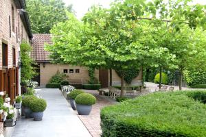 a courtyard with chairs and a tree and bushes at B&B Hof te Spieringen in Vollezele