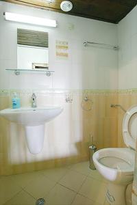 a bathroom with a sink and a toilet at The House with the Vine Guest House in Zheravna