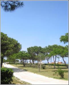 un camino de tierra con árboles al lado de un campo en Locations Meublées Plage des Pins en Argelès-sur-Mer