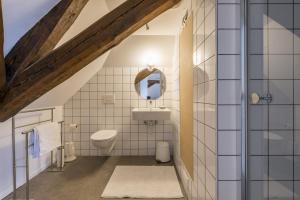 a bathroom with a toilet and a mirror at Obelisque in Bruges +51 photos