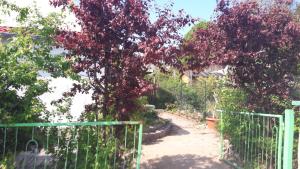 a gate in a garden with a tree with red leaves at Zum Buddje in Garz-Rügen