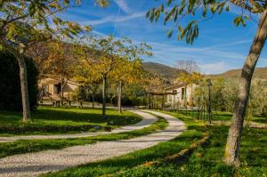 eine kurvenreiche Straße in einem Park mit Bäumen und Häusern in der Unterkunft Le Voltarelle Bed & Breakfast in Serra San Quirico