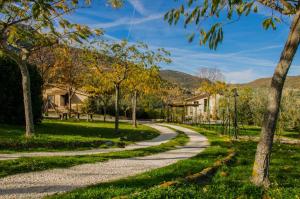 una strada tortuosa in un parco con alberi e case di Le Voltarelle Bed & Breakfast a Serra San Quirico