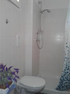 a bathroom with a shower and a toilet and a tub at GRANELLO di Sabbia in Peschici