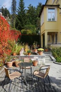 eine Terrasse mit einem Tisch, Stühlen und Pflanzen in der Unterkunft Villa Sonnenstrahl in Marienbad