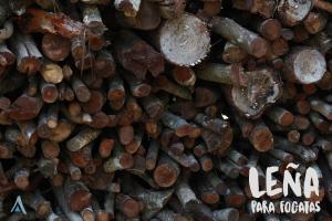 Fotografija v galeriji nastanitve El Paraje Camping v mestu Piribebuy