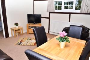Μια τηλεόραση ή/και κέντρο ψυχαγωγίας στο Wrenbury Mill Apartment