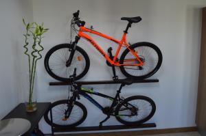 Jazda na bicykli v okolí ubytovania Moai Loft