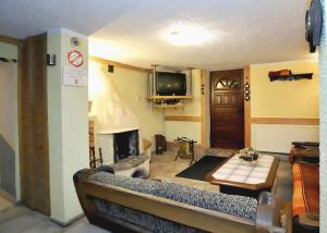 a living room with a couch and a fireplace at Pensjonat Tara in Jeleśnia