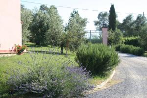 Zahrada ubytování Agriturismo Gli Archi