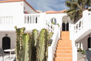 a cactus in front of a house at Galera Beach Apartamentos in Corralejo