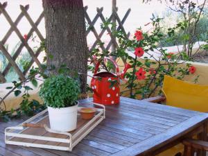 Zahrada ubytování Villa Eleni