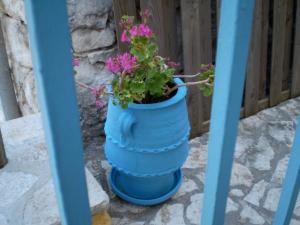 Fotografie z fotogalerie ubytování Villa Eleni v destinaci Ithaka