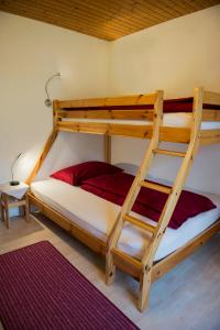 a bedroom with two bunk beds with a ladder at FEWO Silberberg TOP 4 in Alpbach