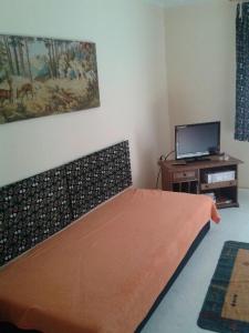 a bedroom with a bed with an orange blanket and a tv at Apartments zum Brauergang in Garz-Rügen