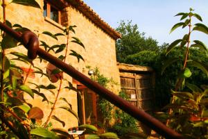 A garden outside El Corral De Concilio