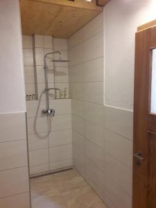 ein Bad mit einer Dusche und einer Glastür in der Unterkunft B&B am Park in Rheinfelden
