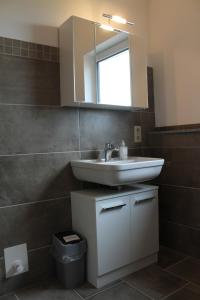 a bathroom with a sink and a mirror at Ferienwohnung I in Schnelldorf