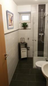 een badkamer met een douche, een toilet en een wastafel bij FeAp Brombachsee - Sonnentag Ost in Röttenbach